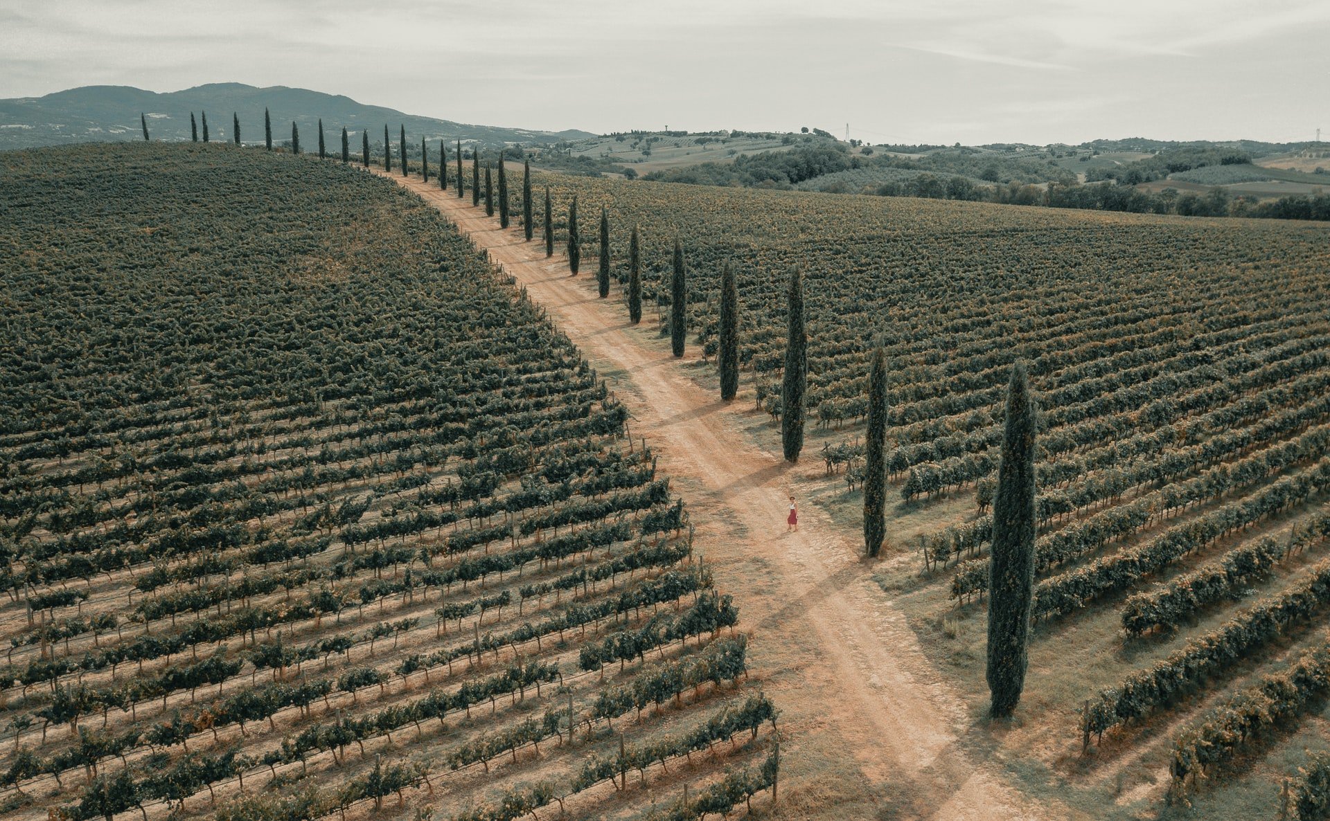 the-estate-header-image